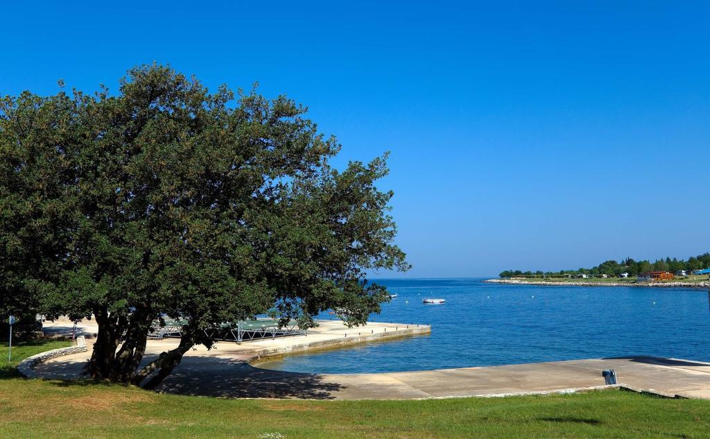 Happy Camp Mobile Homes In Camping Park Umag カリガドル エクステリア 写真